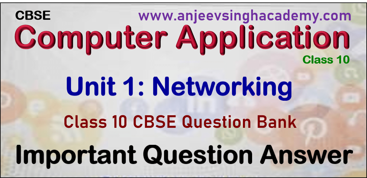 Class 10 Computer Application 165 Unit 1 Networking Important Question