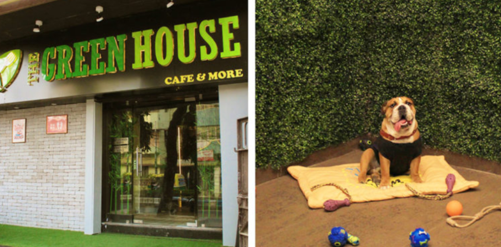 13 Best PetFriendly Places in Kolkata Dogs and Cats