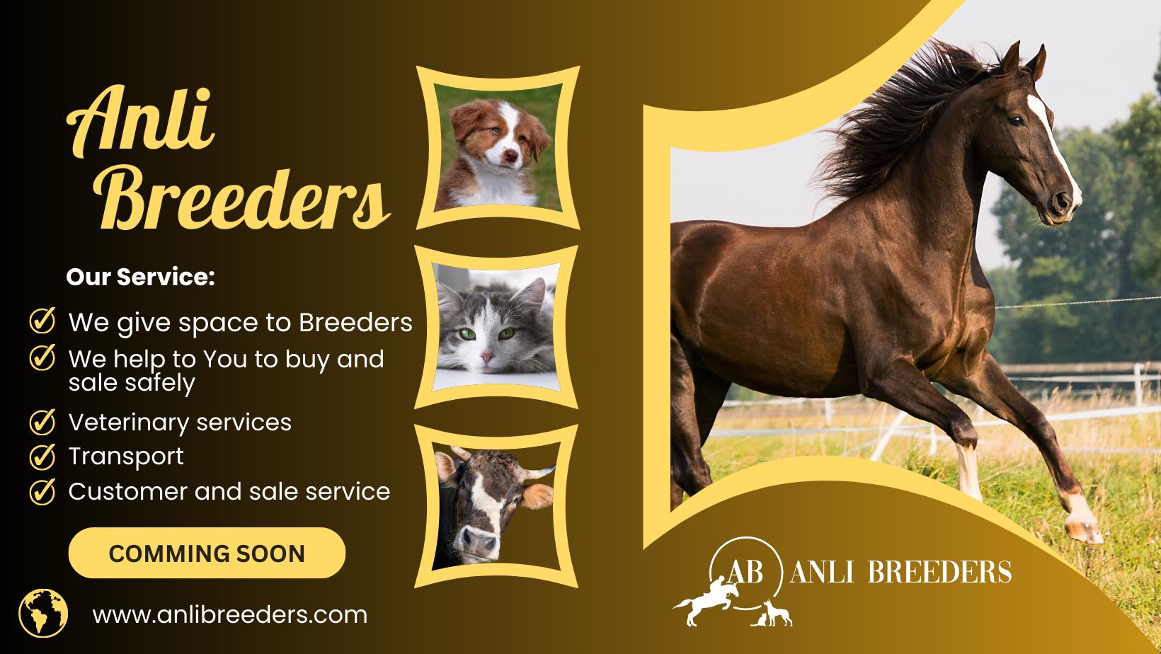 Horse, Horse tools, horse equipment ANLI Shop