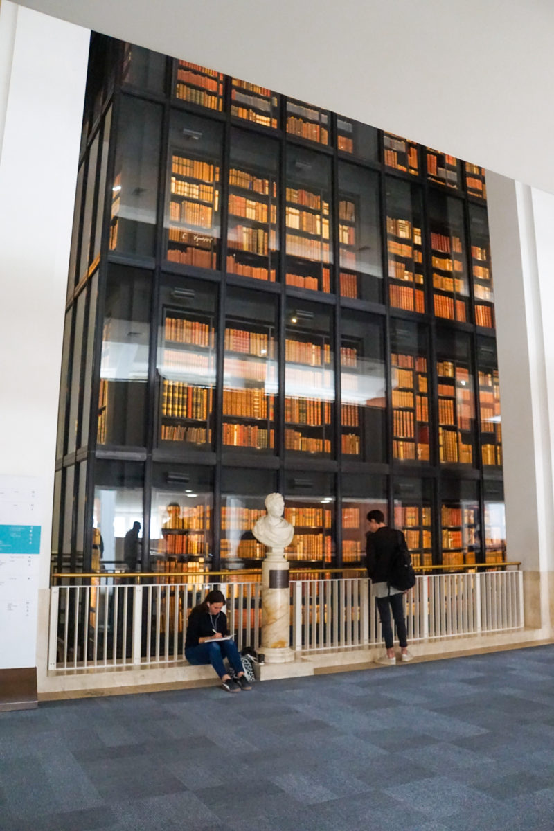 Top 15 Largest Libraries in the World by Collection Size AnnTran