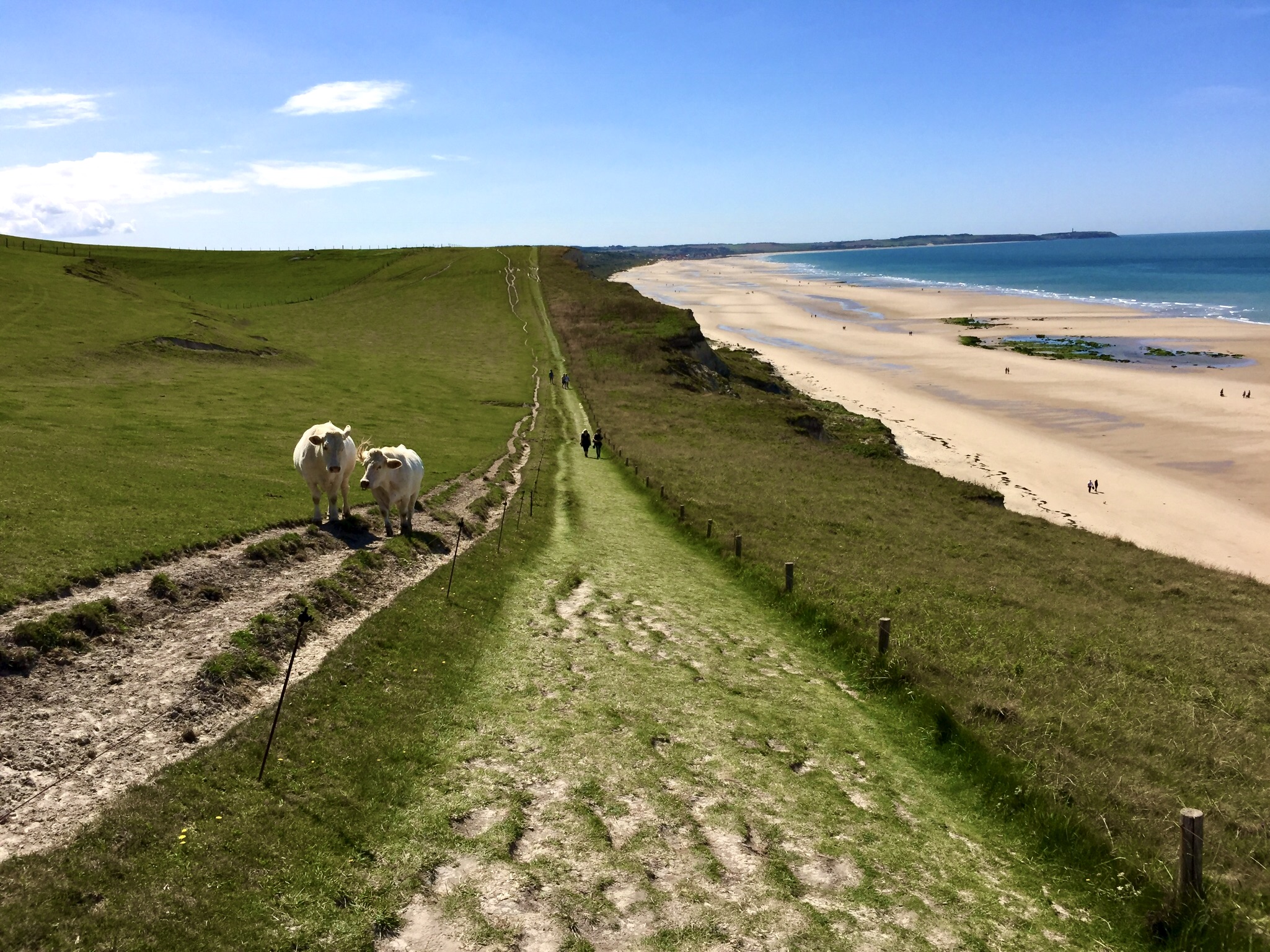 Randonnée dans le Parc Naturel Régional des Caps France
