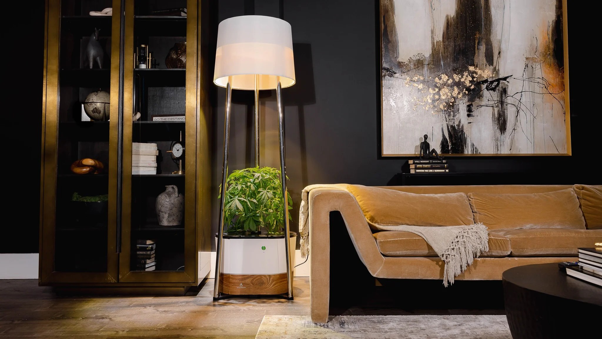 Cannabis Growing Supplies Annaboto Store