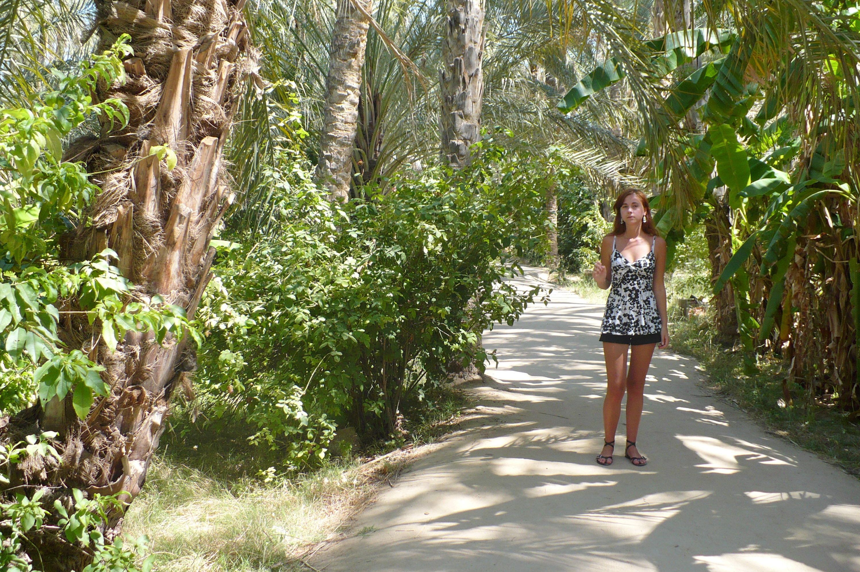 Solo Travel in Tunisia Reasons to Visit Tunisia