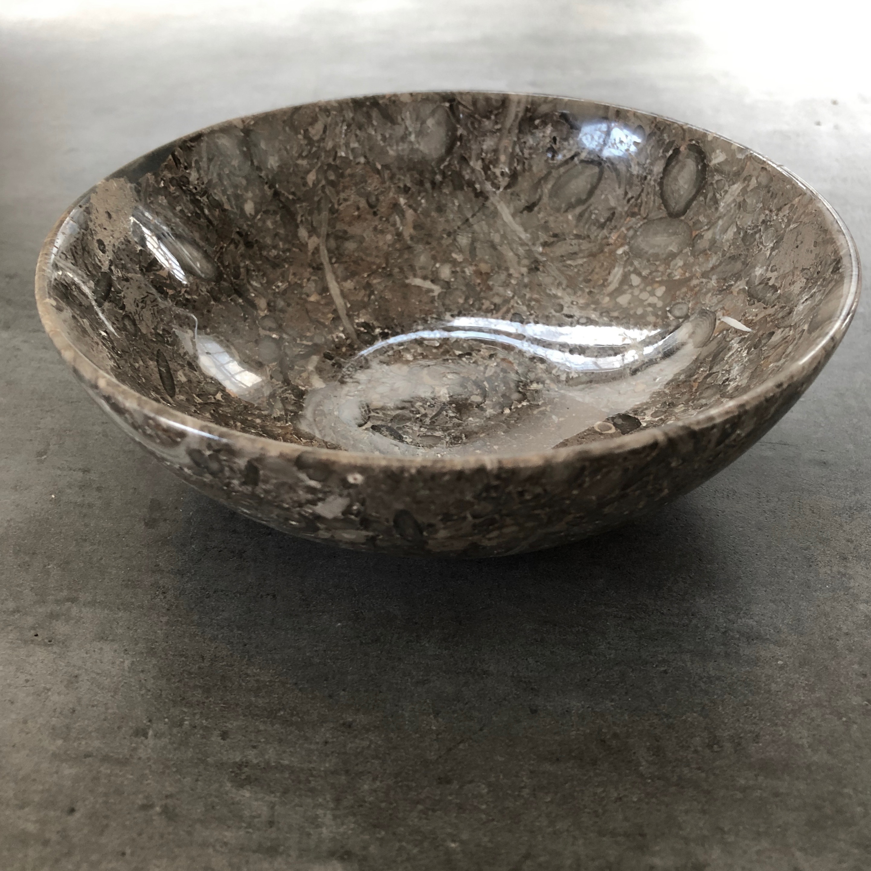 Fossil Marble Oceanis Annafind