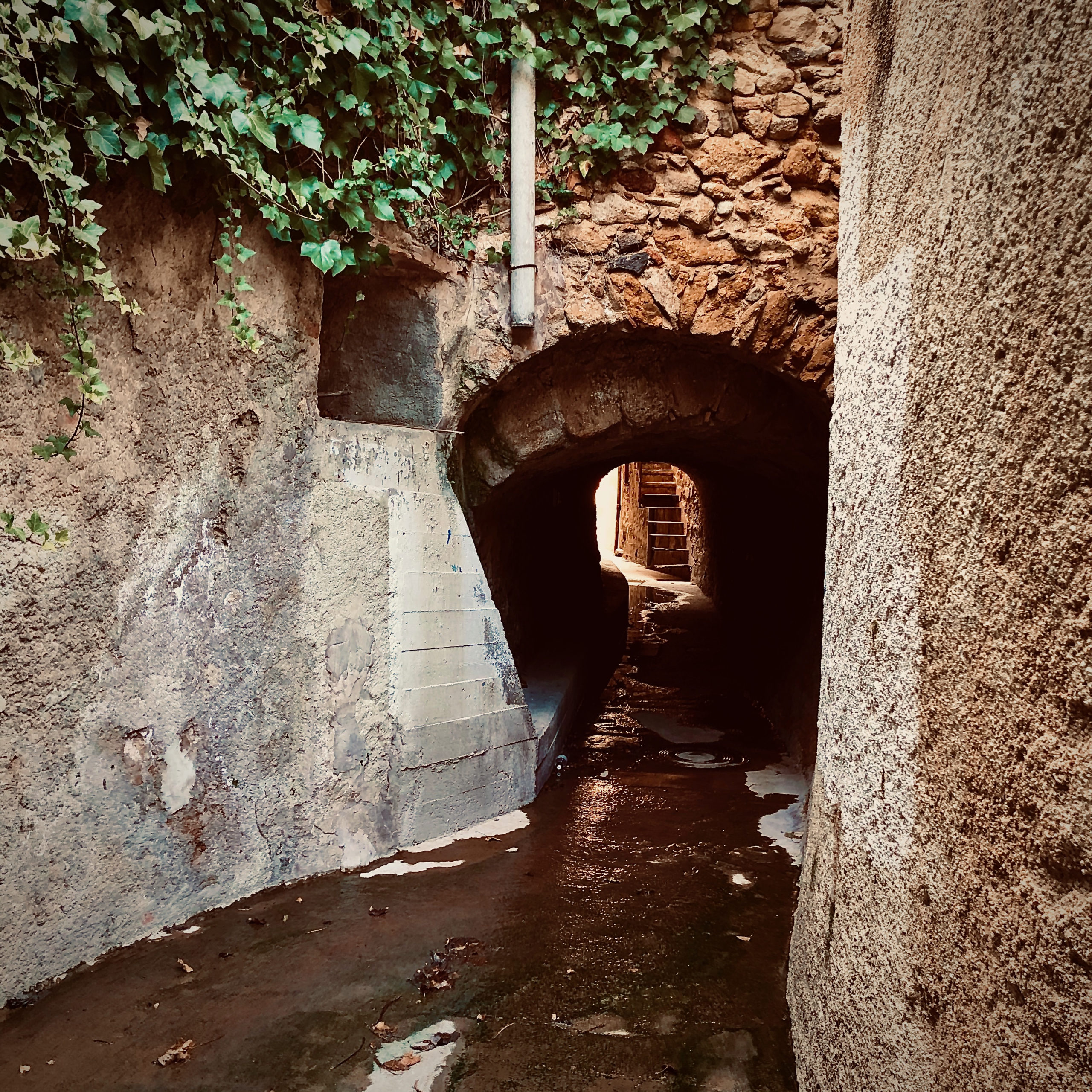 El fill de l’italià, la filla de Caldes. Anna Genover i Mas