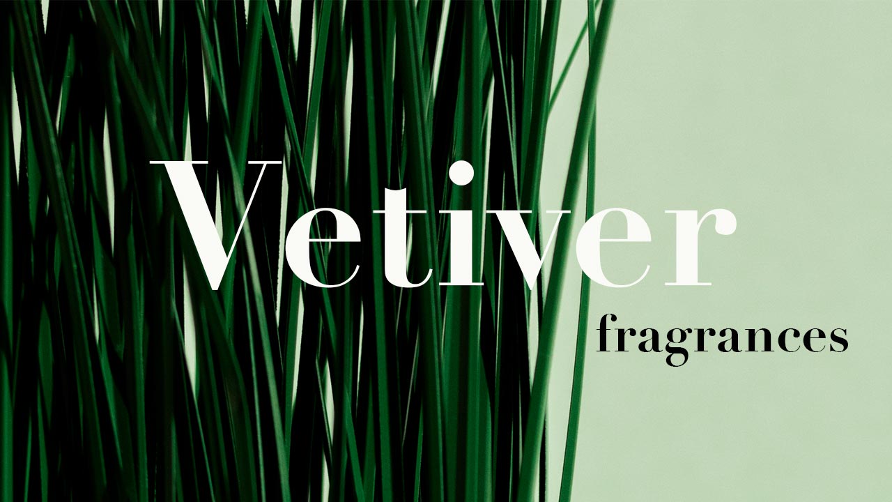 Top 13 Premium Vetiver Fragrances Anna Gooss