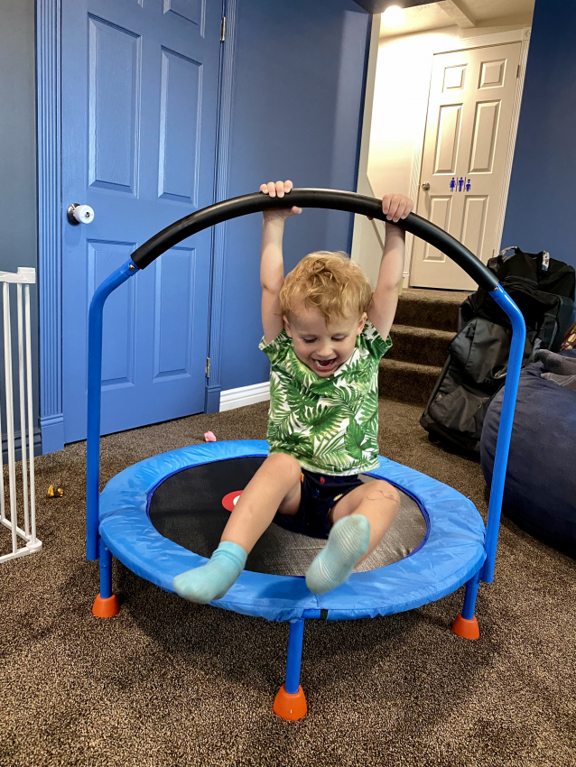 5 Best Toddler Trampolines (Tested by Two Toddlers)