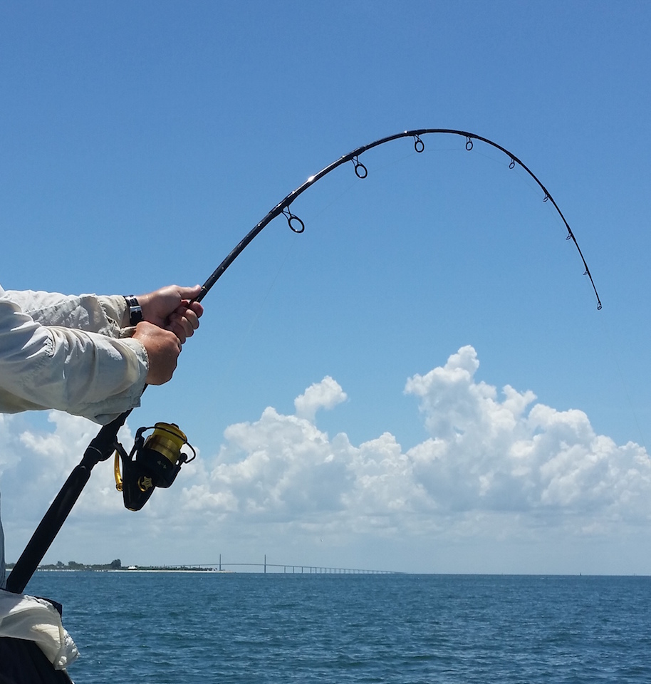 Anna Maria Island Tarpon Fishing June 25, 2015