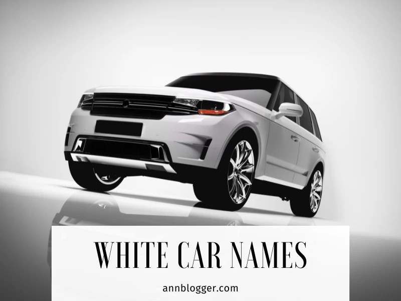 White Car Names 600+ Best & Funny & Cool Ideas Ann Blogger