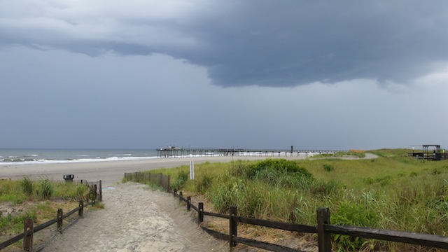 Ann Delaney Beach Blog Life on 7 Mile Beach (Avalon, Stone Harbor, NJ