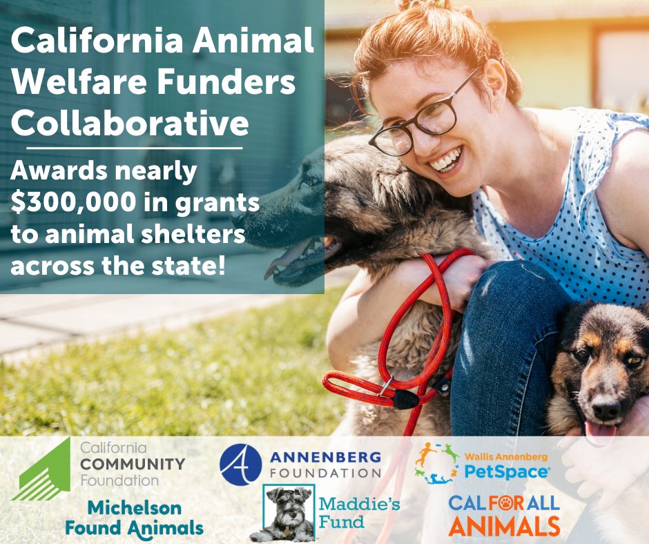 California Animal Welfare Funders Collaborative Supports 19