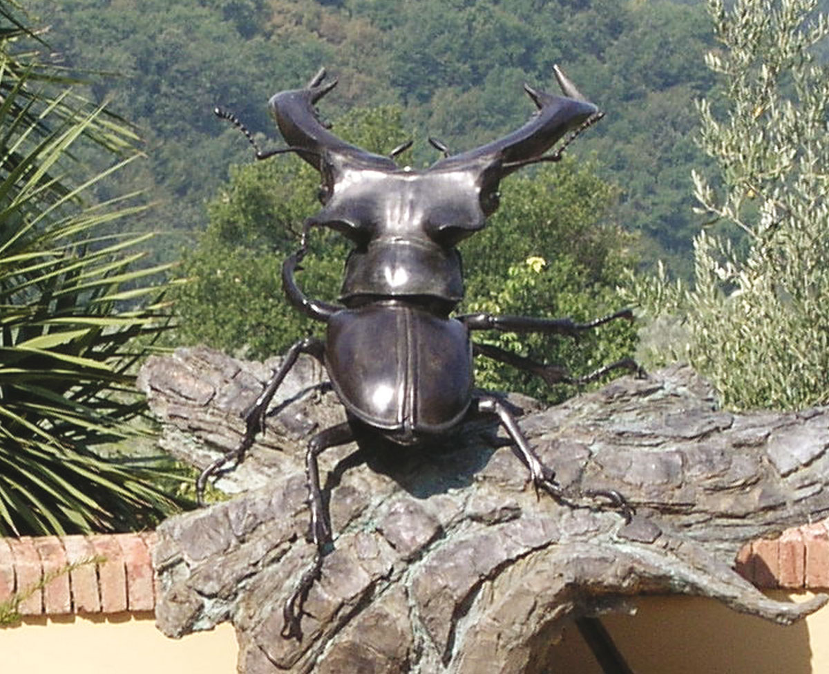 ANNE SHINGLETON Artist in Tuscany, painter of light and animals