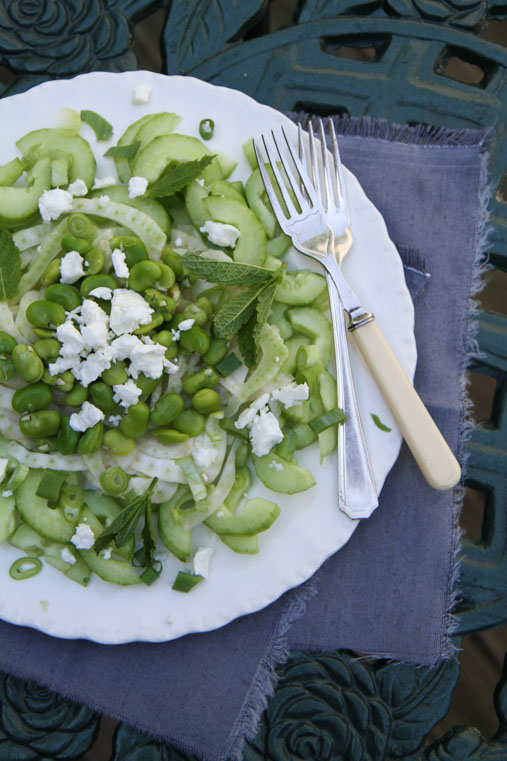 Cucumber Fennel Salad with Mint and Feta ⋆Anne's Kitchen