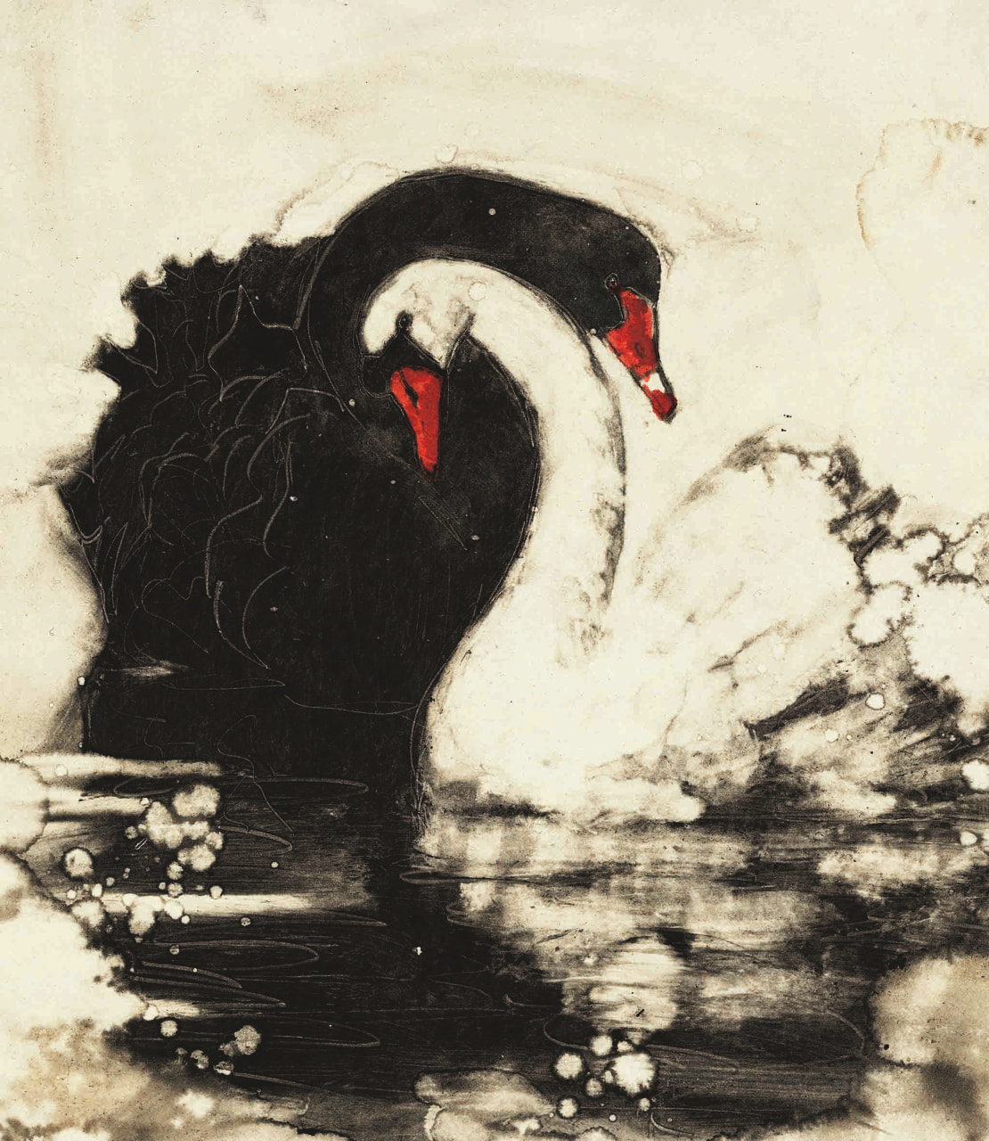 Cover art of black and white swan, cover of Swan Lake