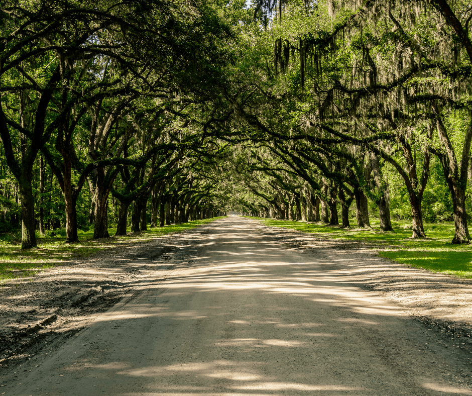 36 Hours In Savannah What To Do, Eat and See Anne Stout