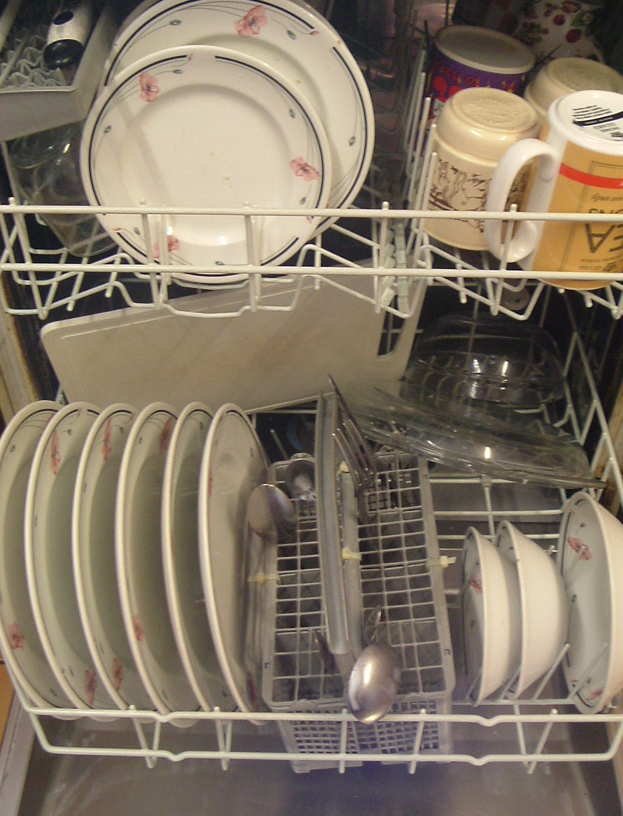Why a dishwasher could be the healthy option Ann Foweraker