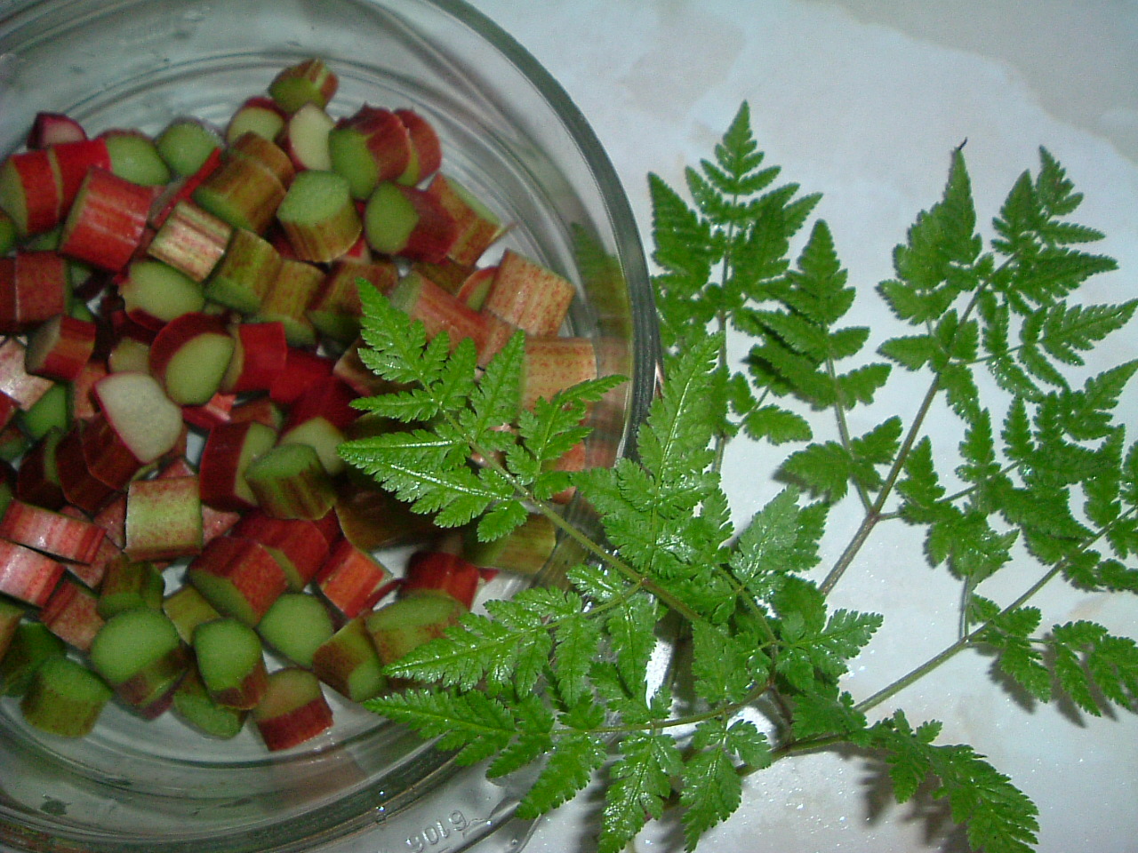 Microwave cooking rhubarb Ann Foweraker