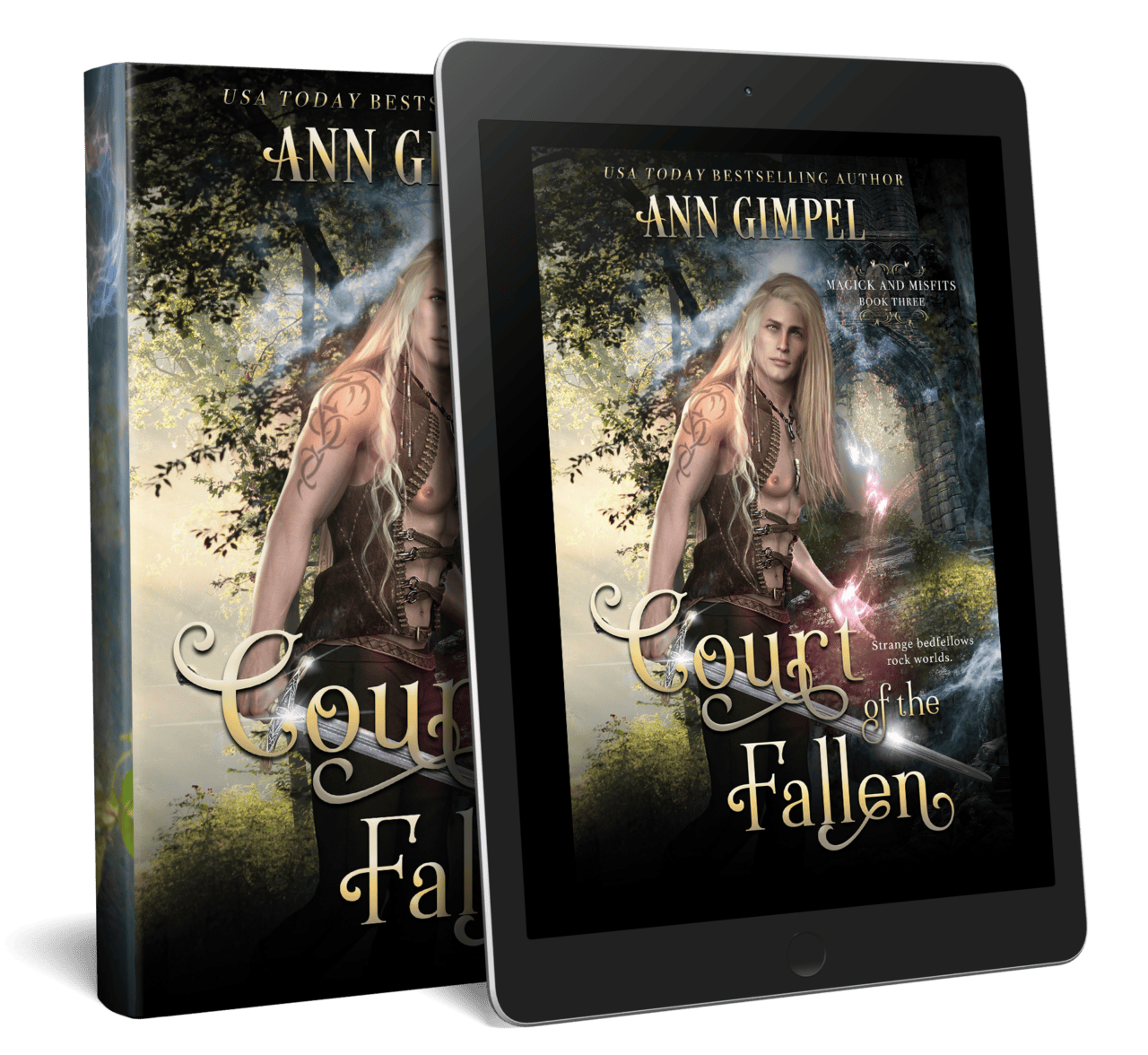 Court of the Fallen, Magick and Misfits Book Three Ann