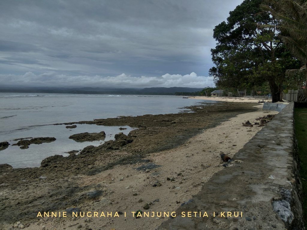 PESONA KRUI 2017 Sejuta Pesta di Pesisir Barat Lampung