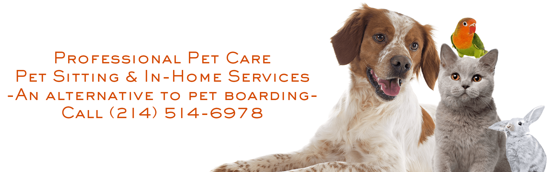 Coppell Pet Sitting Personal Pet Care Solutions 24+ Years of Experience
