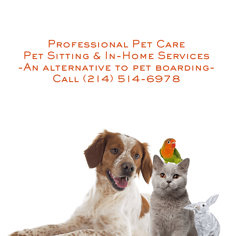 Coppell Pet Sitting Personal Pet Care Solutions 24+ Years of Experience