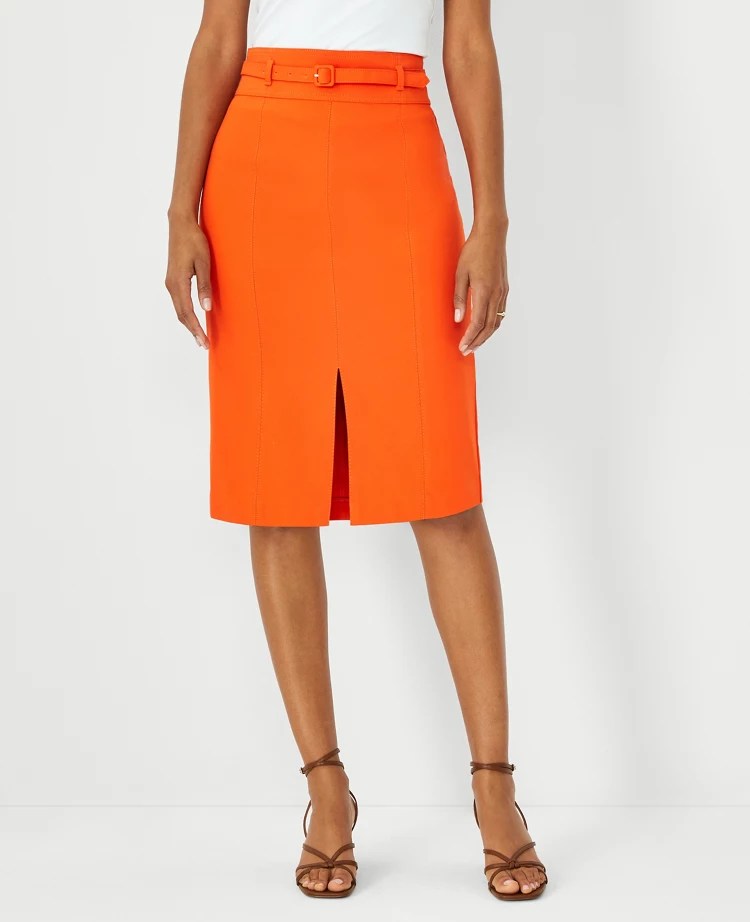 Belted Seamed Pencil Skirt