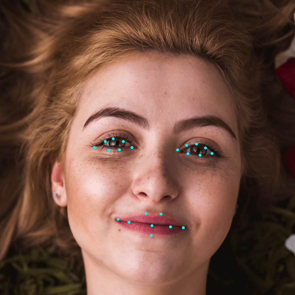 🟣 Landmark/ Keypoint LinkedAI Annotation Hub