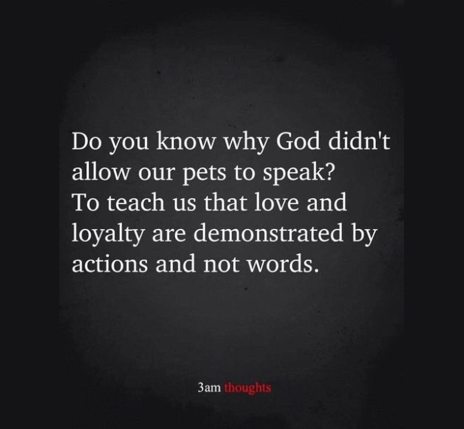 Love and Loyalty Annunciation Catholic Church