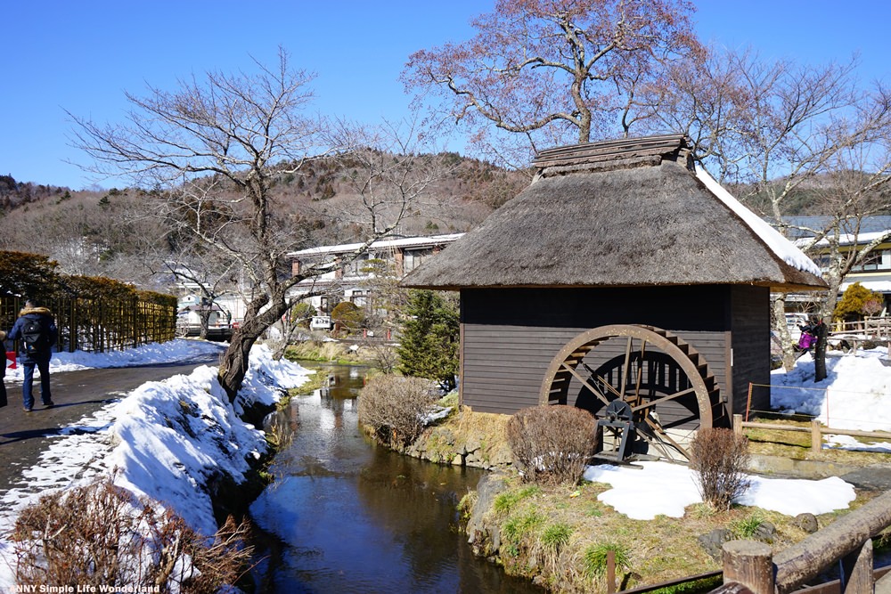 【日本】富士山河口湖 五湖景點 忍野八海 ♥ 超推薦的超美仙境