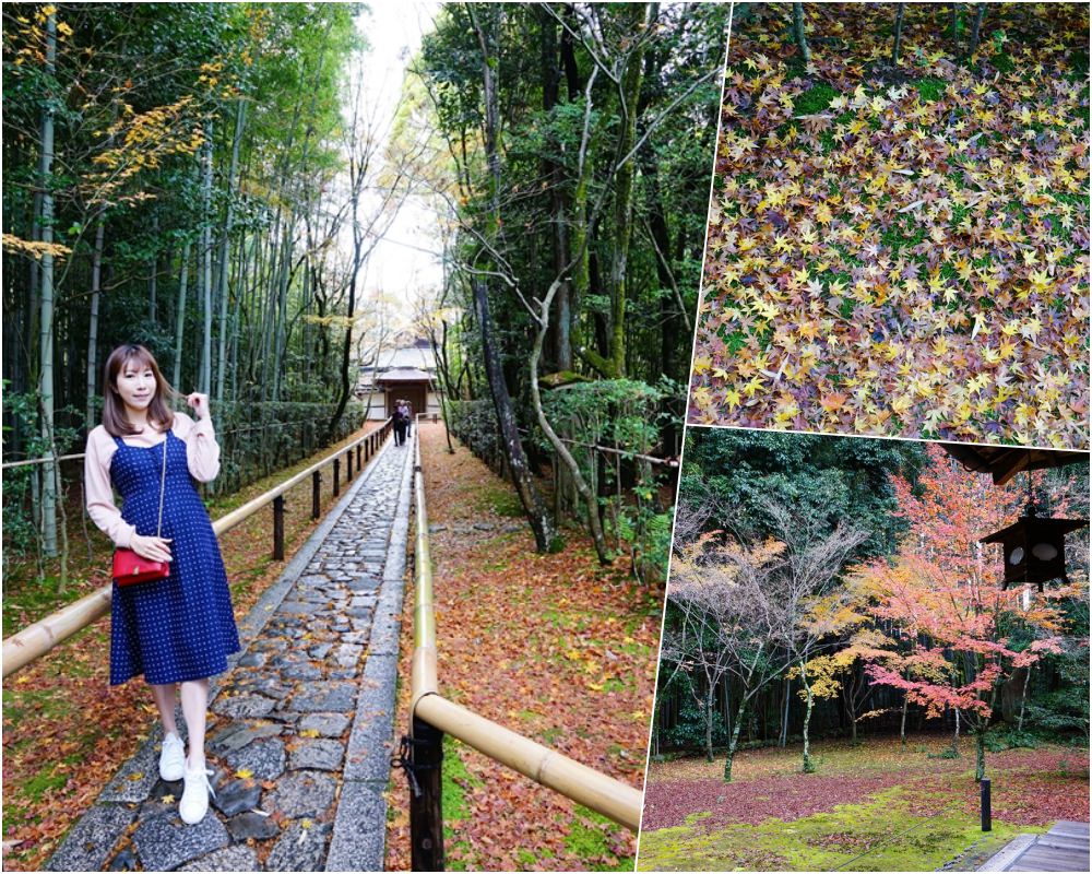 【京阪自由行】京都賞楓名所推薦 ♥ 大德寺 高桐院 楓葉隧道超好拍