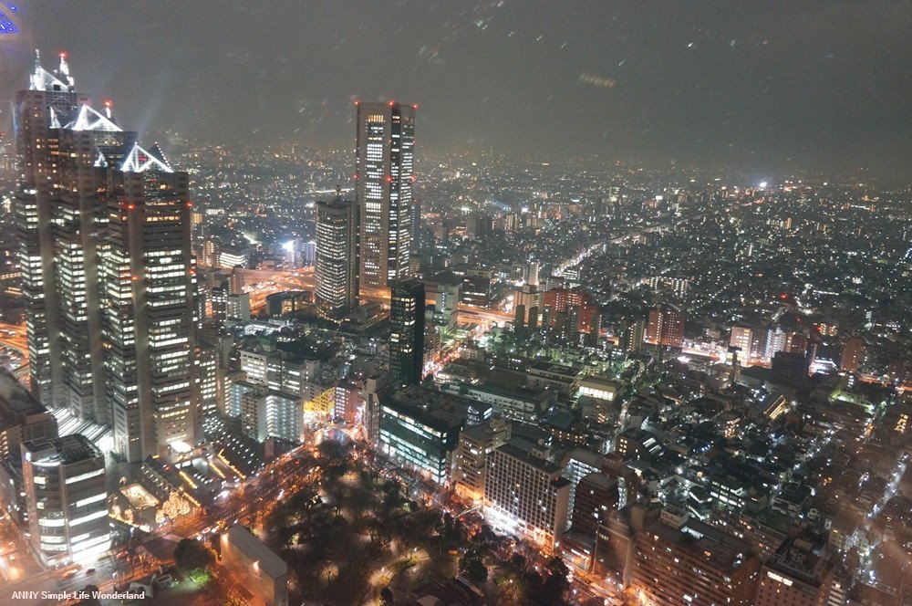 【東京自由行】東京景點、東京夜景推薦 ♥ 新宿督廳夜景 新宿夜生活好去處