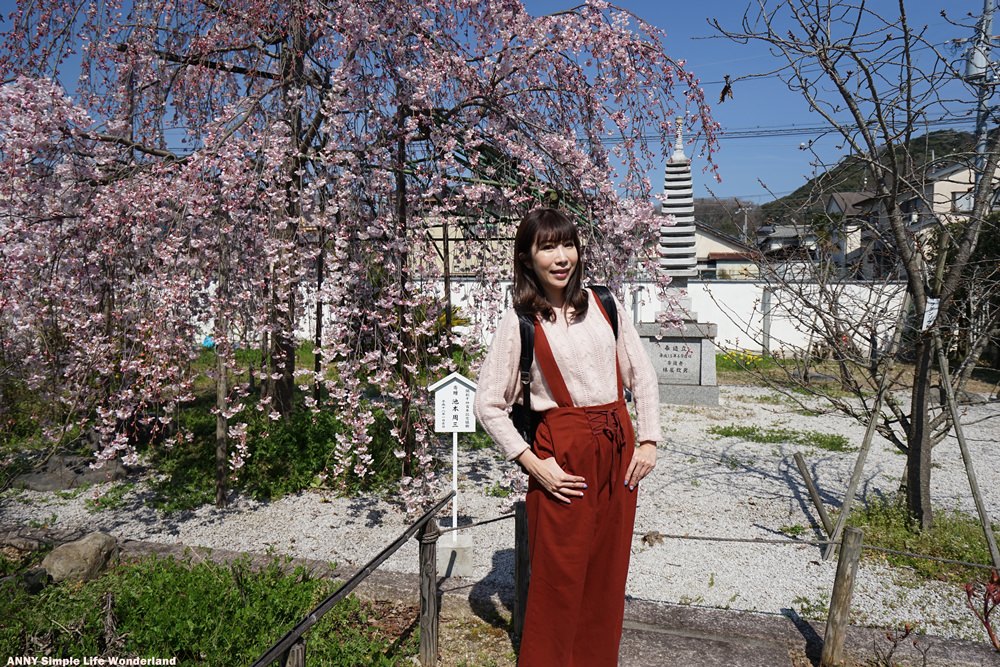 【京阪自由行】宇治景點 橋寺放生院 ♥ 宇治賞櫻私房景點