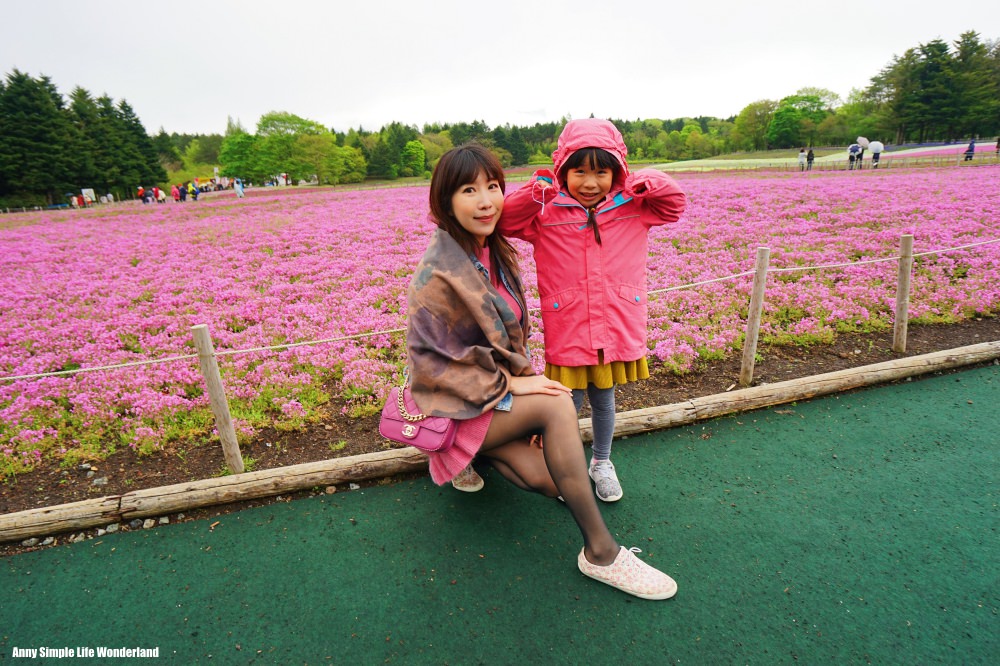 【日本】河口湖景點 看富士山景點 ♥ 富士芝櫻季(自駕/交通/攻略)