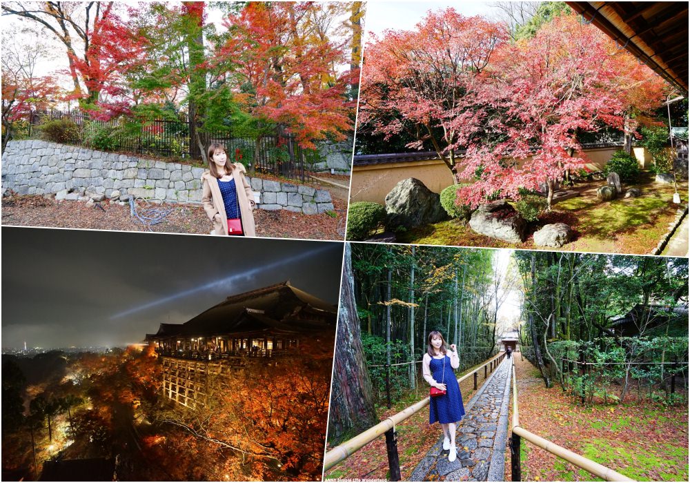 【京阪自由行】2025京都賞楓一日遊 ♥ 京都楓葉 經典行程推薦