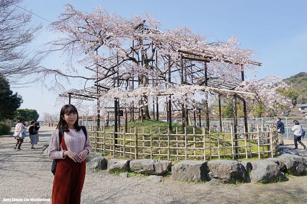 【京阪自由行】宇治景點 宇治橋、宇治公園 ♥ 宇治散步一定要去