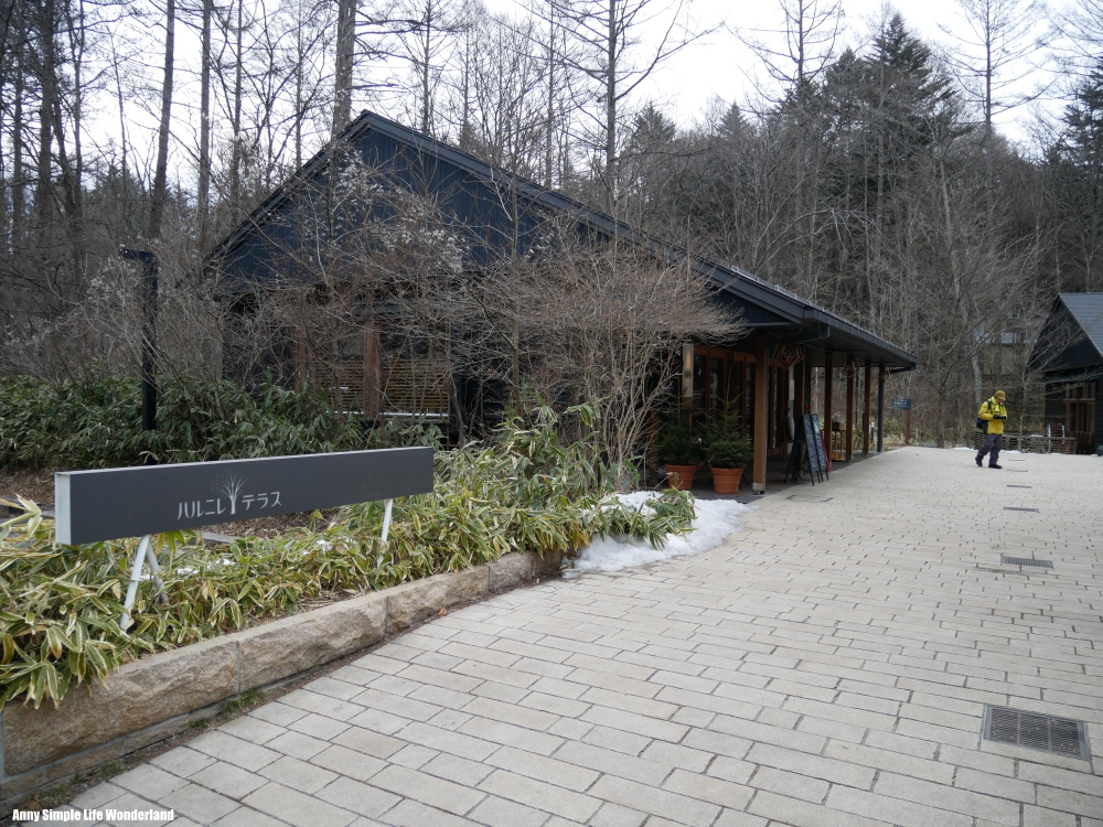 【東京輕井澤自由行】中輕井澤景點 ♥ 星野榆樹街小鎮。交通逛街購物美食