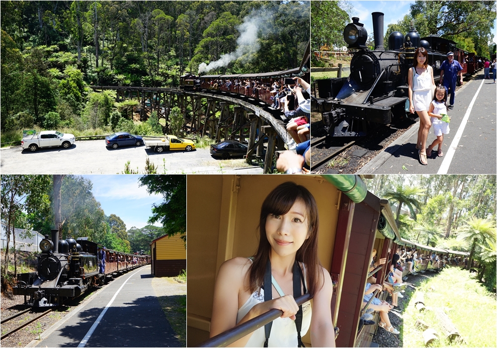 【澳洲自由行】墨爾本必去親子景點♥丹頓農蒸汽小火車+菲利浦島企鵝歸巢