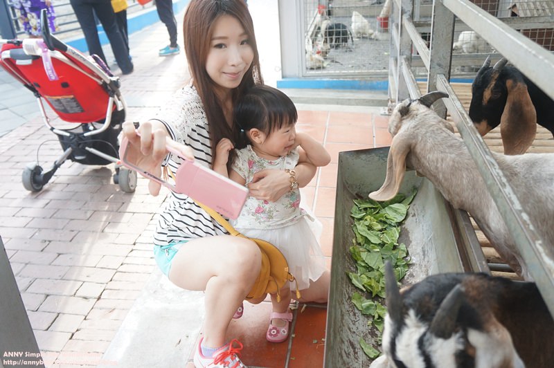 [育兒生活] 小波妞1Y6M ♥ 天天公園放風。高雄溜小孩好去處 駁二小火車。舊鐵橋公園吹泡泡。天空之城+淨園咖啡館 (玩沙／餵小動物／景觀／下午茶)