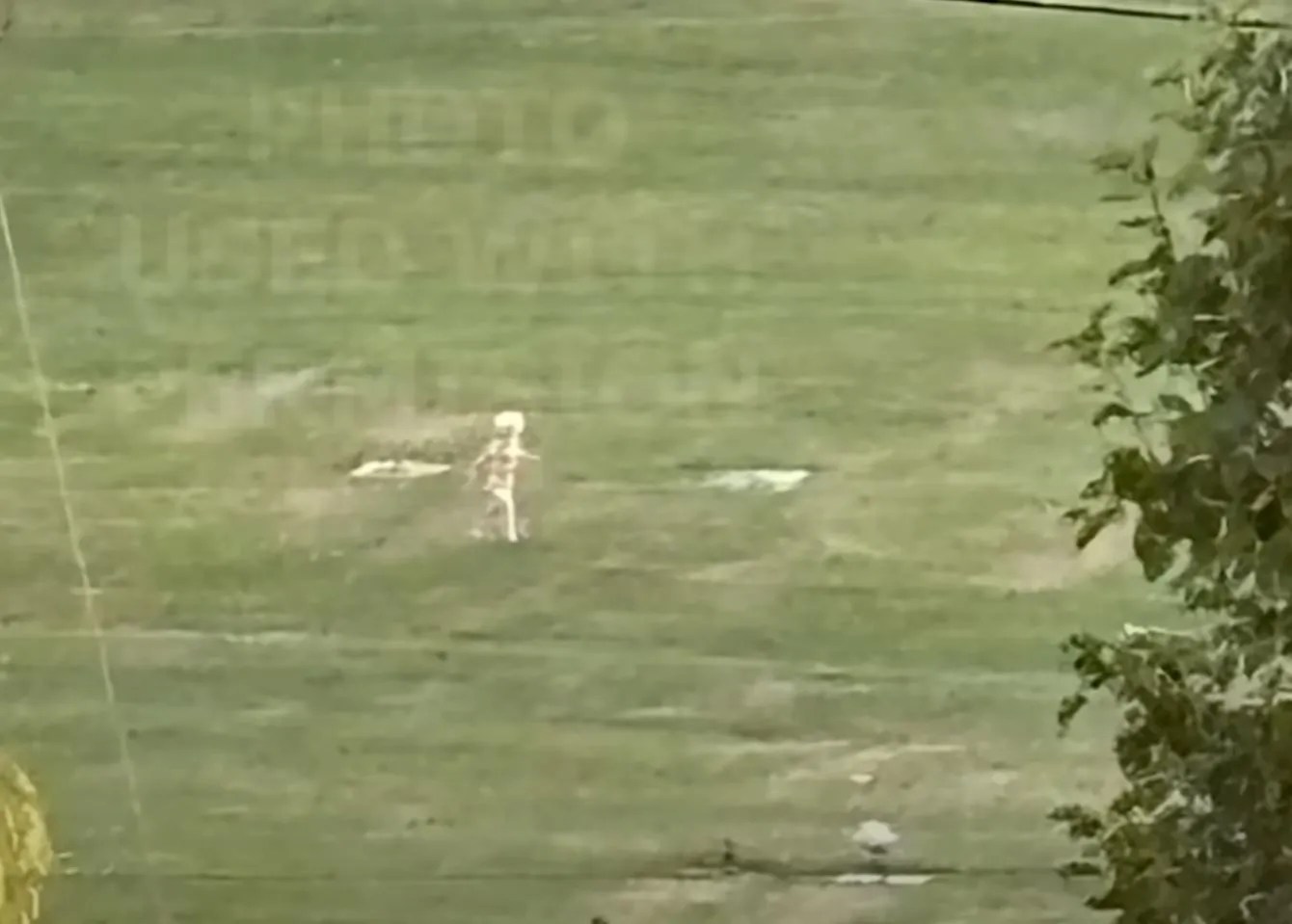 Small Mysterious Humanoid Creature Photographed In West Virginia