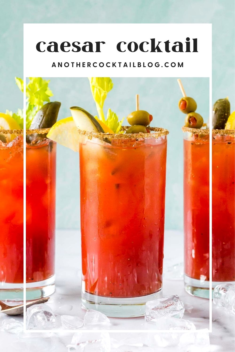Caesar Cocktail (Clamato Bloody Mary) (Clamato Bloody Mary) Another