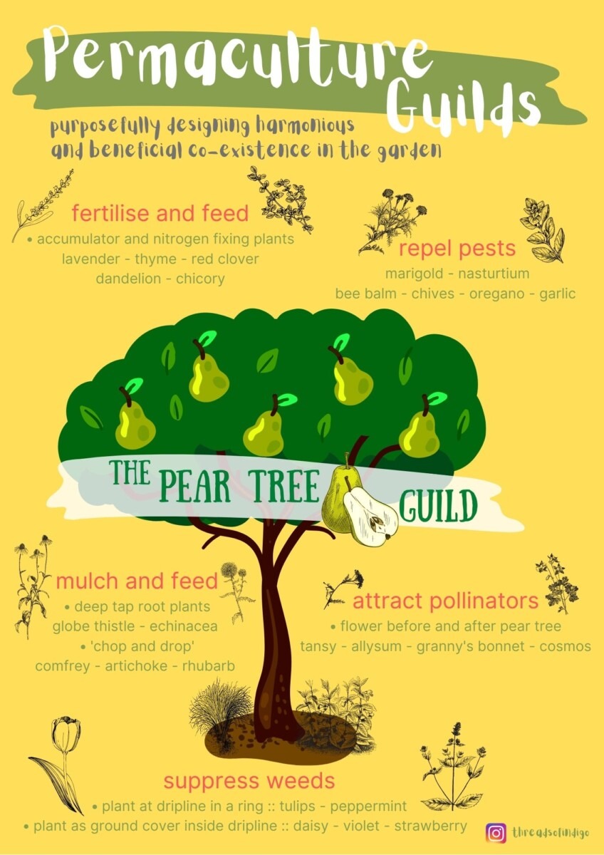 homeschool printables permaculture zones permaculture guilds
