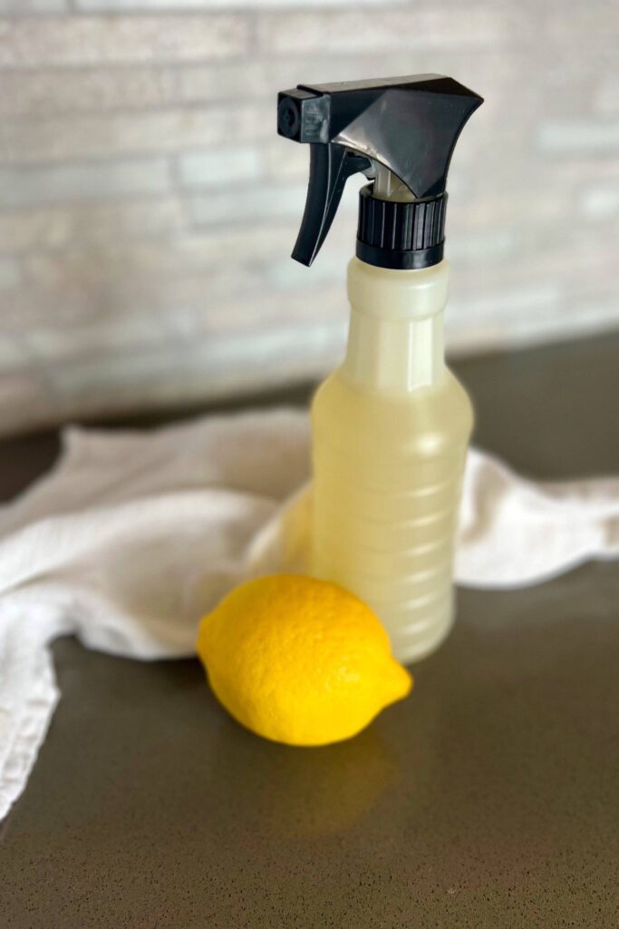 Homemade Quartz Countertop Cleaner