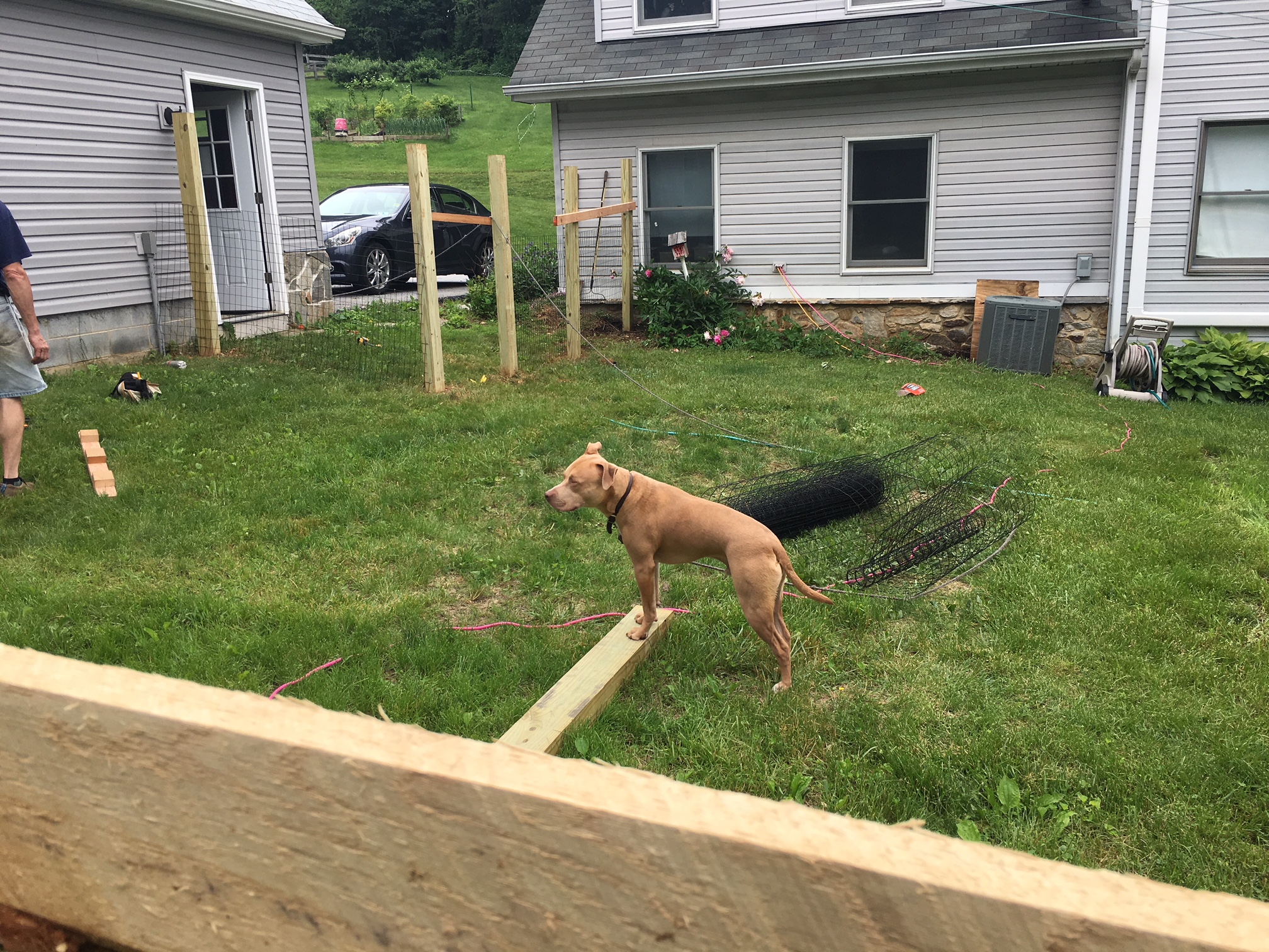 Puppy Play Yard Another Good Dog™