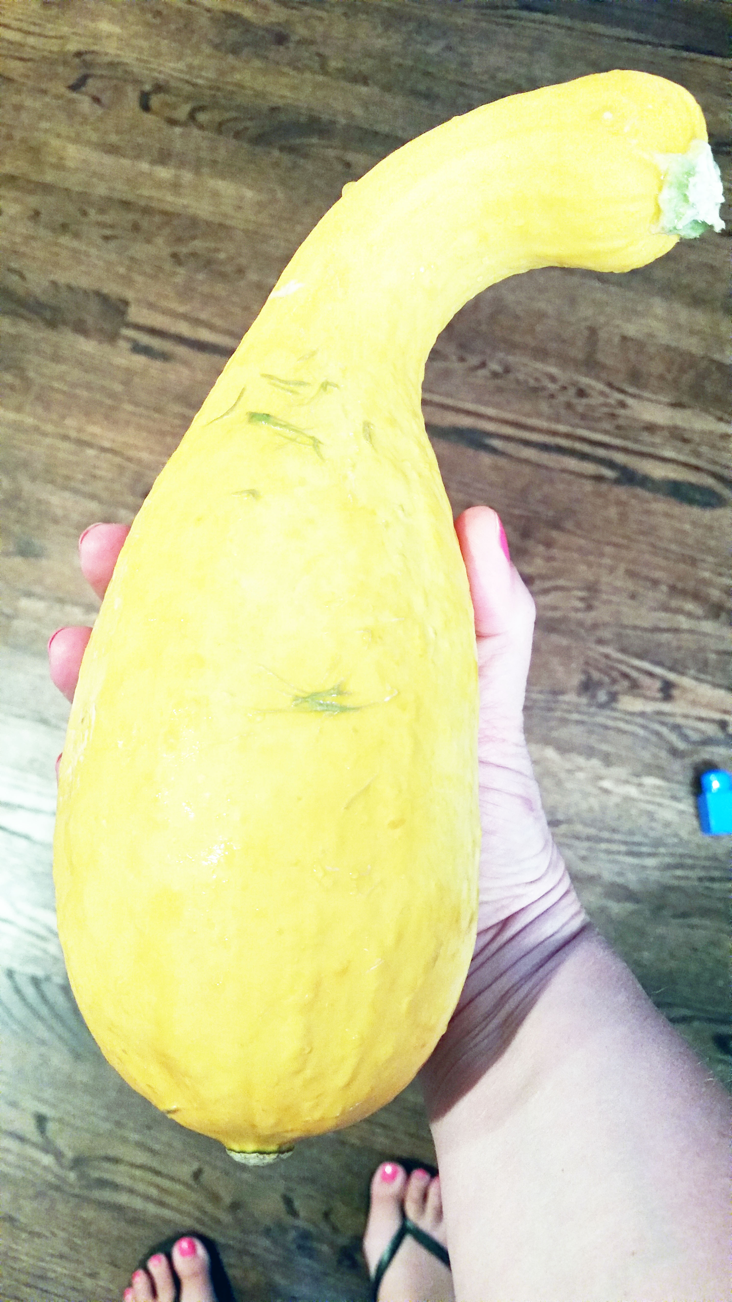 End of the Garden Stuffed Yellow Squash (or Zucchini); Gluten Free
