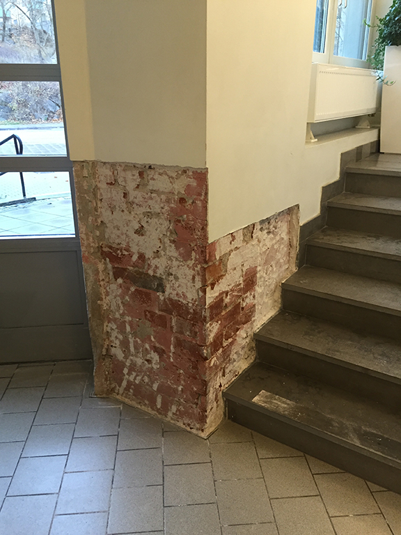 Mögel & fuktskador AN RivserviceAN Rivservice
