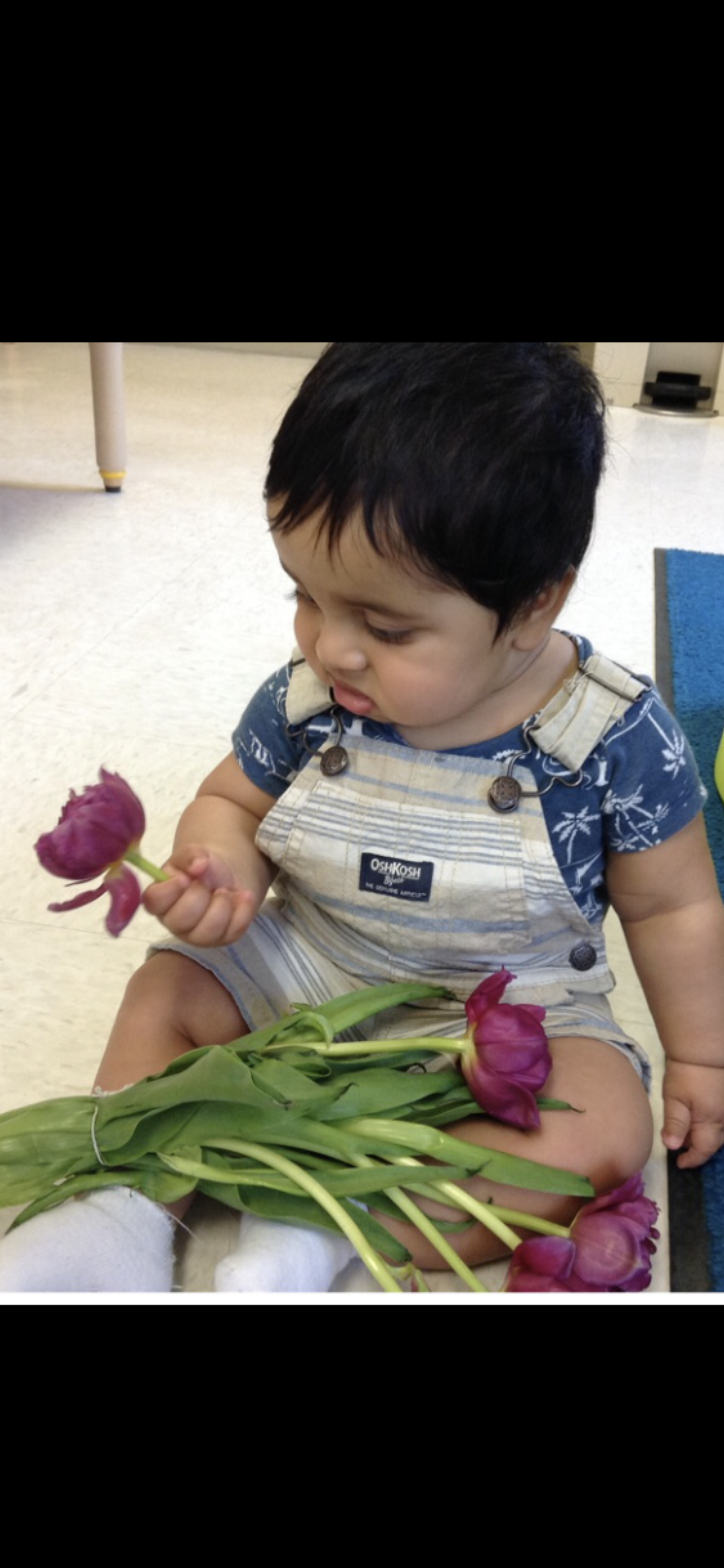 Florist sales tax audit — Ansari Law Firm