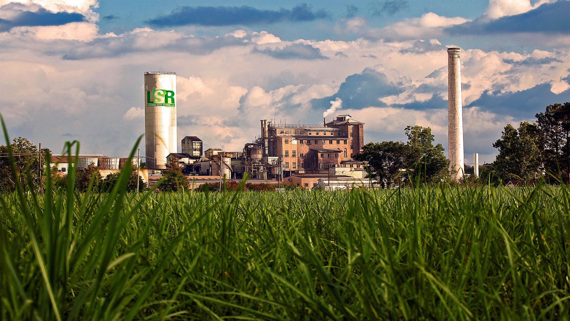 LOUISIANA SUGAR REFINING GRUPO CARGILL Ansotec