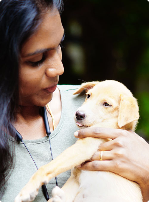 24/7 Veterinary Answering Service AnswerPro