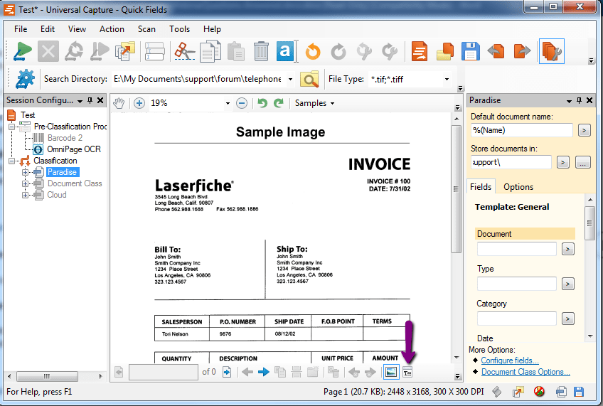 What is the Regular Expression for radio buttons in PDF Laserfiche