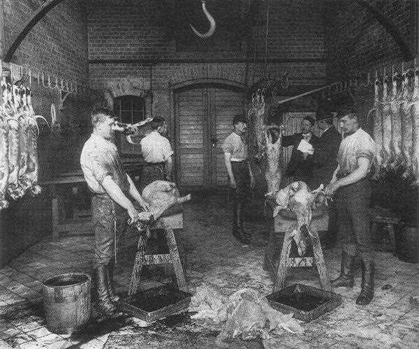 What problem was caused by the slaughterhouse cases? MindStick Q&A